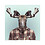 FlorisMoose